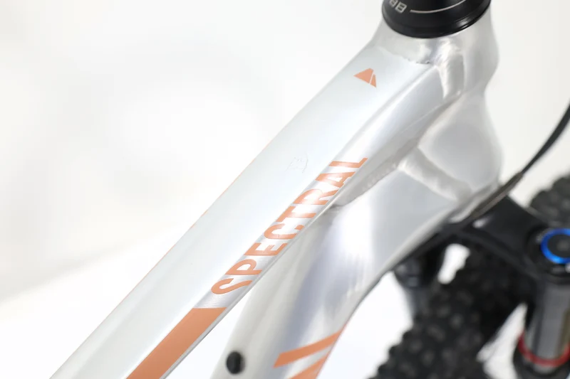 CANYON Spectral AL 5.0 2019 T.L