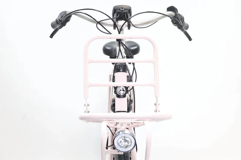 GAZELLE Miss Grace C7 HMB 2022 T.L