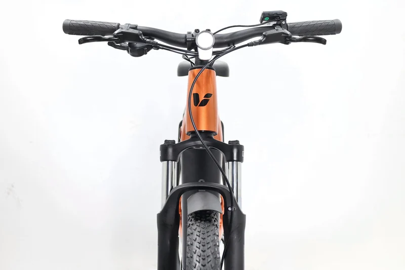 LIV Amiti E+ 2 2023 T.S