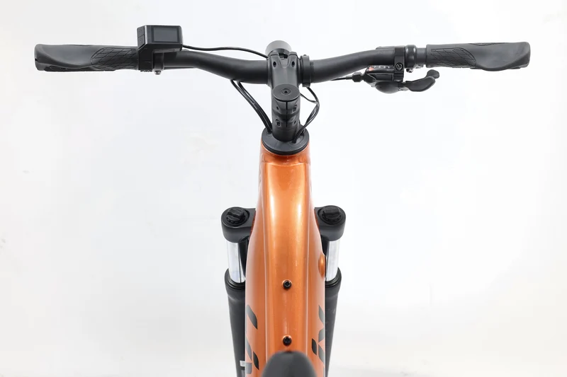 LIV Amiti E+ 2 2023 T.S