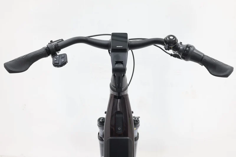 LIV Allure E+ 1 2022 T.S