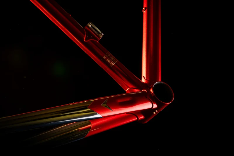 Master Bike