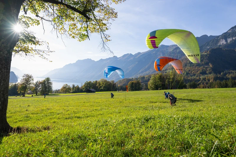 Ozone Moxie – Parapente EN-A
