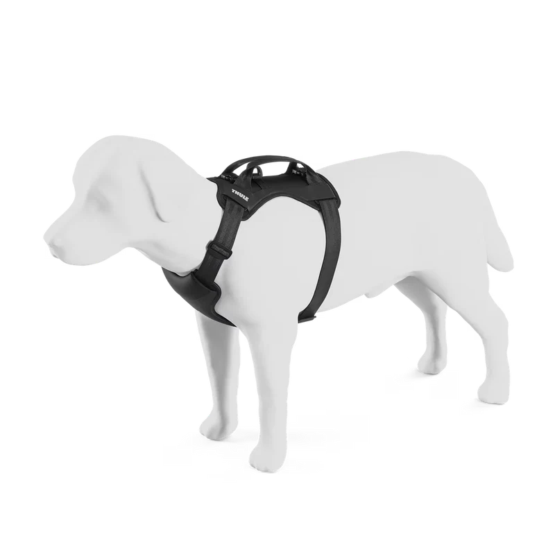 Thule | Cappy