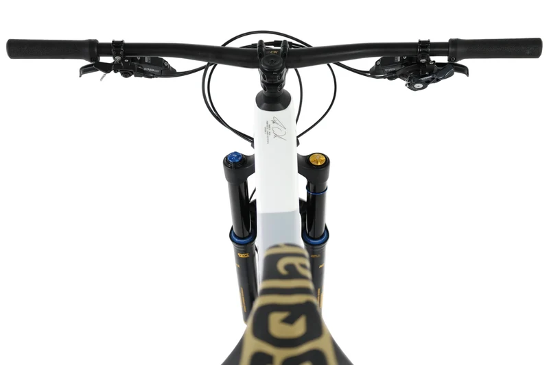CANYON Torque CF Fabio Wibmer 2025 T.XL