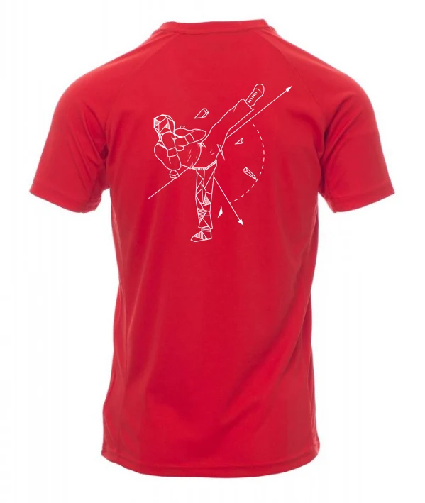 Tee shirt technique RUNNER Tricolores Lochrist