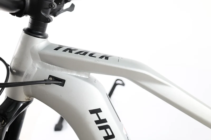 HAIBIKE Alltrack 9 29 2023 T.M