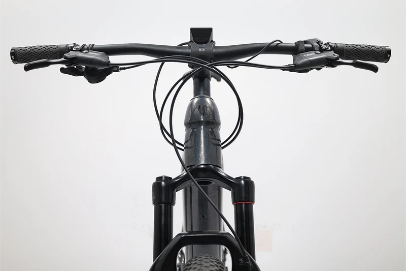 TREK Powerfly 7 2022 T.L