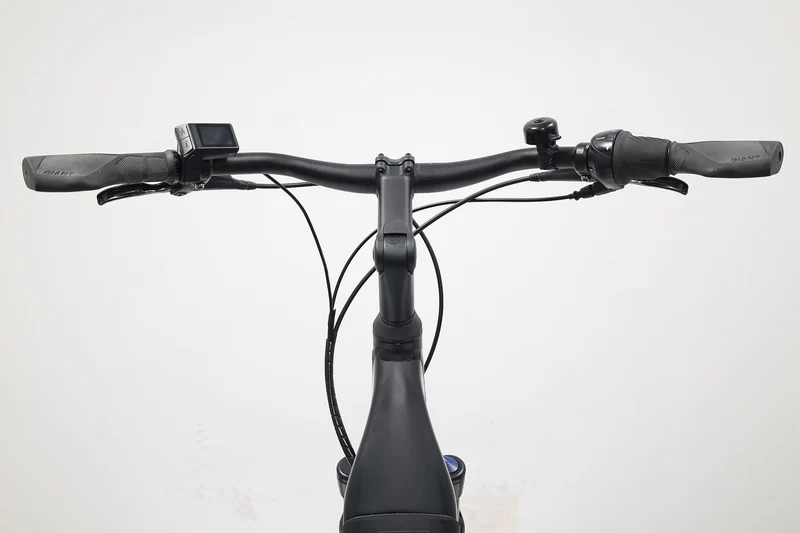 GIANT Dailytour E+ 2 LDS Nexus 2021 T.XL