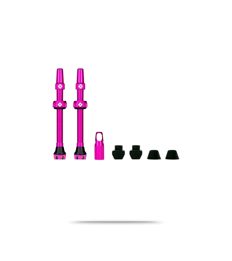 Tubeless Valve Kit V2