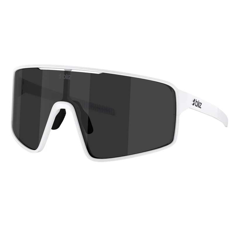 P001 Sunglasses
