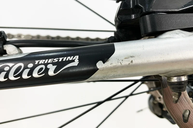 WILIER Triestina eAdventure 2019 M