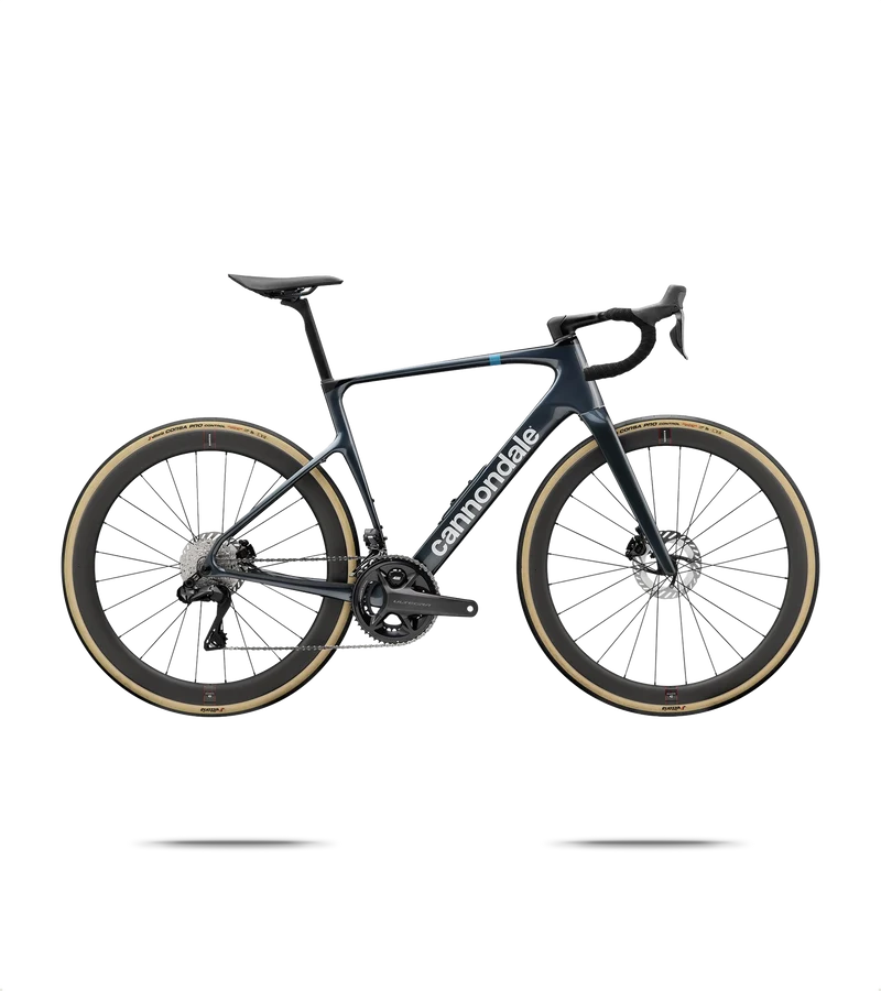 Synapse Carbon 1 Endurance Road Bike