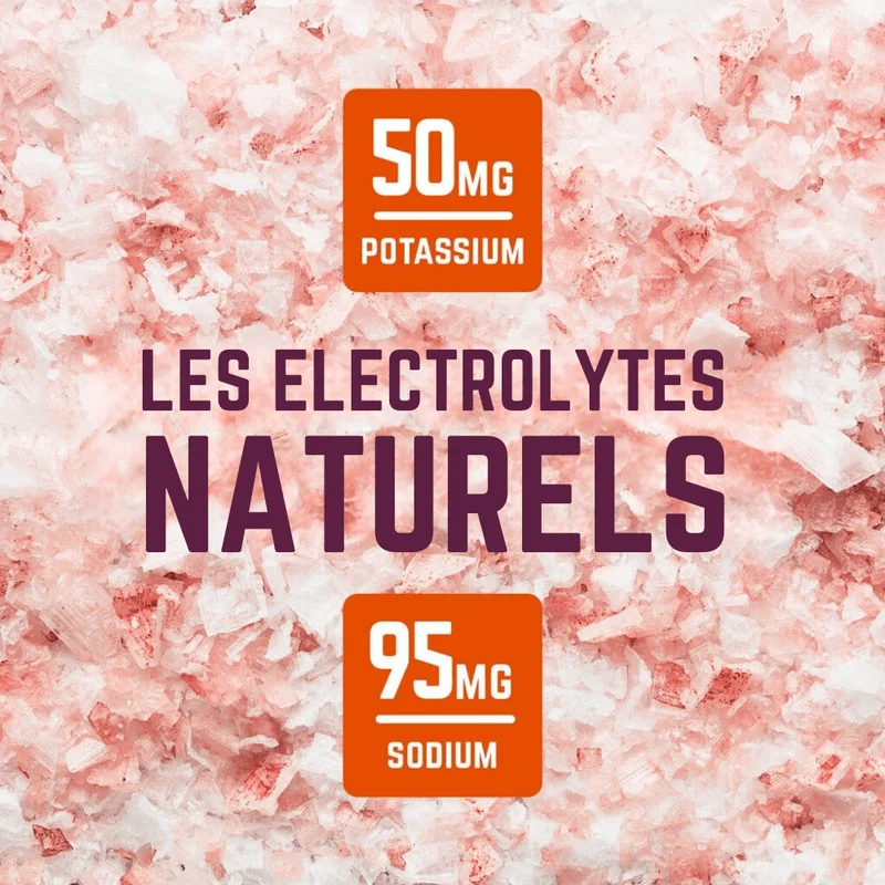 Gommes Citro Agrumes | Veloforte