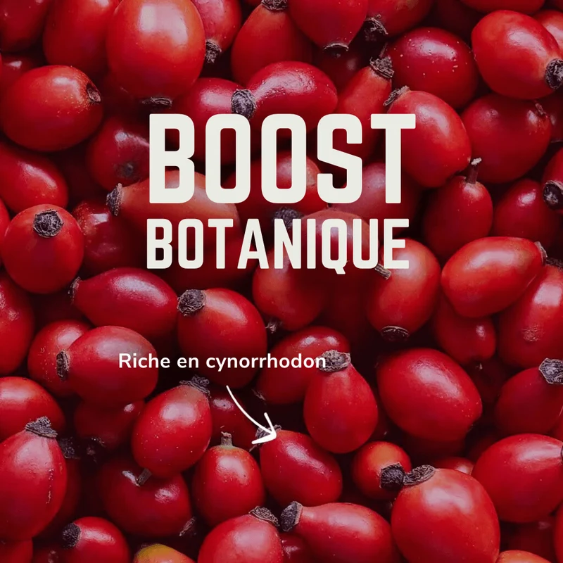 Electrolytes Vivo | Veloforte