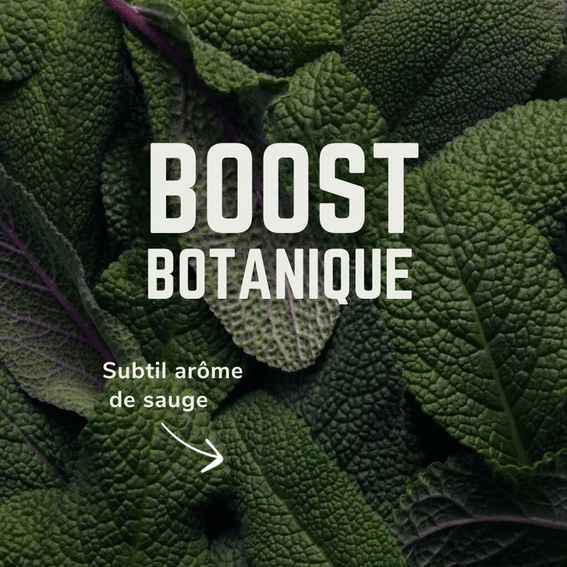 Electrolytes Solo | Veloforte