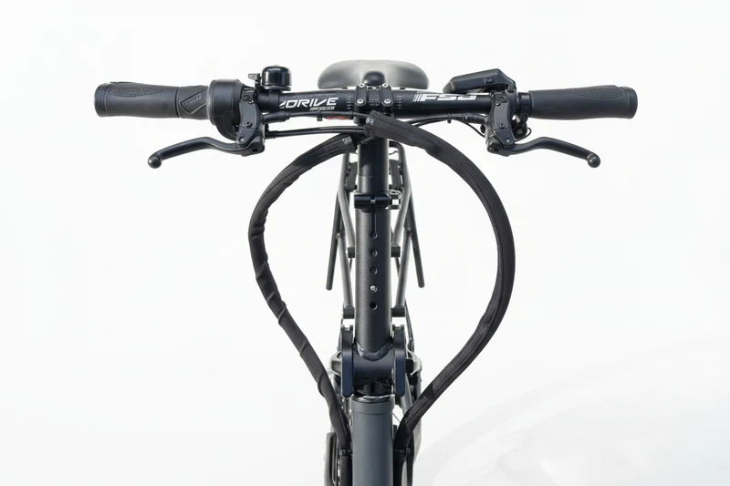 RIESE&MÜLLER Load4 75 Vario 2025 T.U