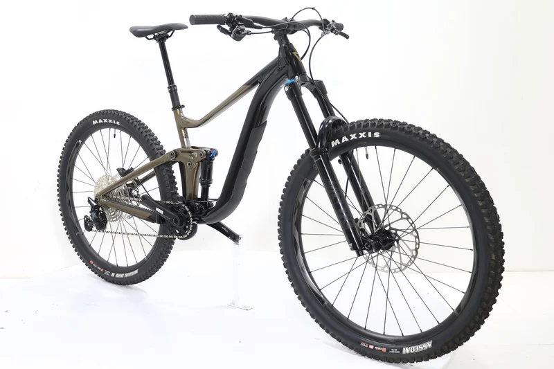 GIANT Reign 2 2024 T.M