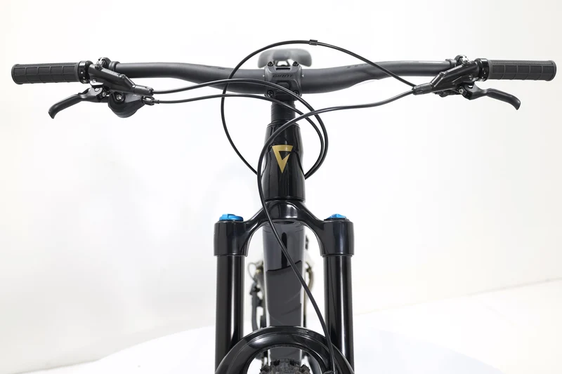 GIANT Reign 2 2024 T.M