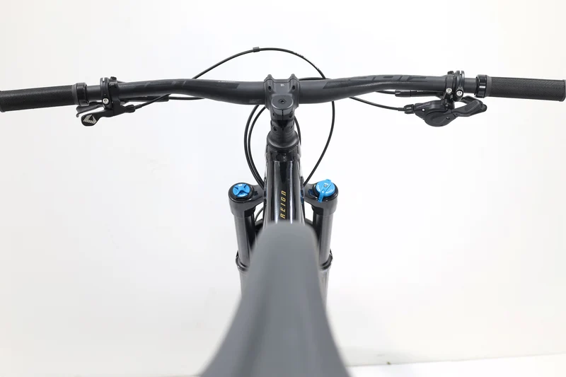 GIANT Reign 2 2024 T.M
