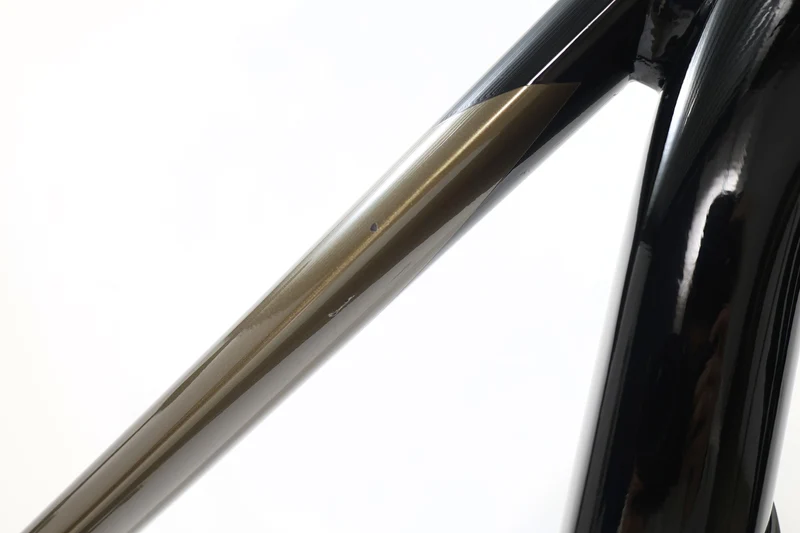 GIANT Reign 2 2024 T.M