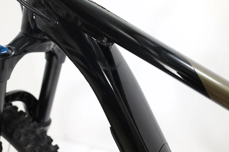 GIANT Reign 2 2024 T.M