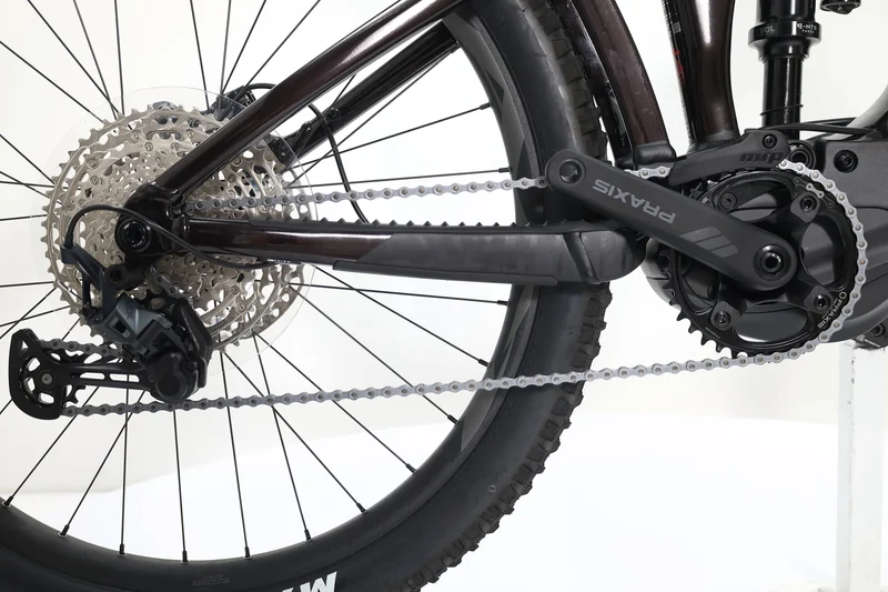 GIANT Reign E+ 2 2023 T.M