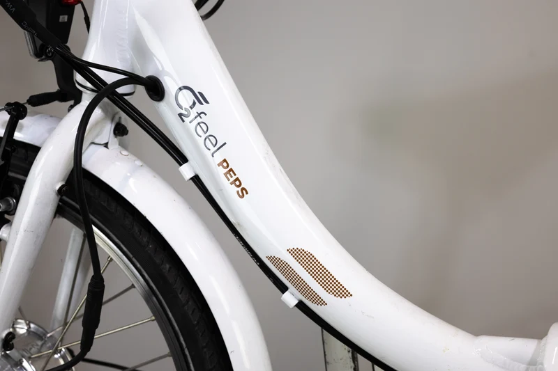 O2Feel PEPS 2019 T.41 1757