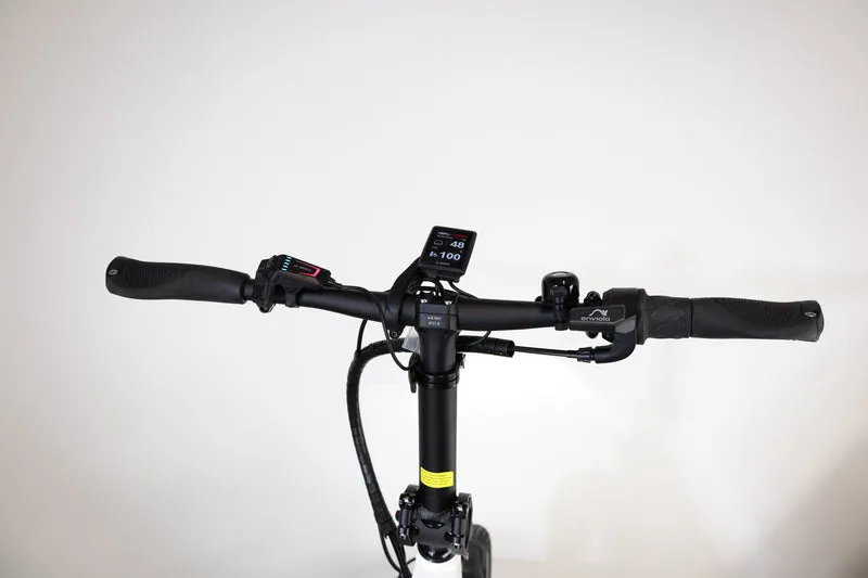 Riese & Müller Tinker2 Vario 2023 2110