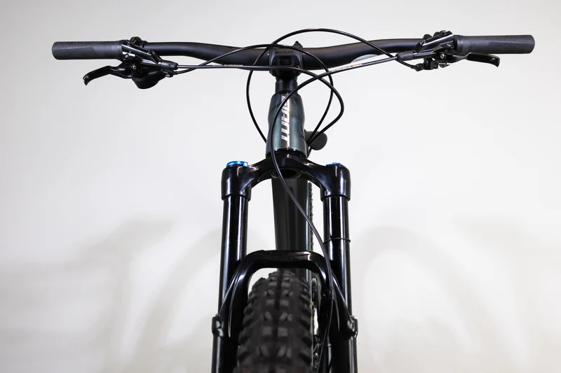 GIANT Trance X 29 1 2022 S 2007