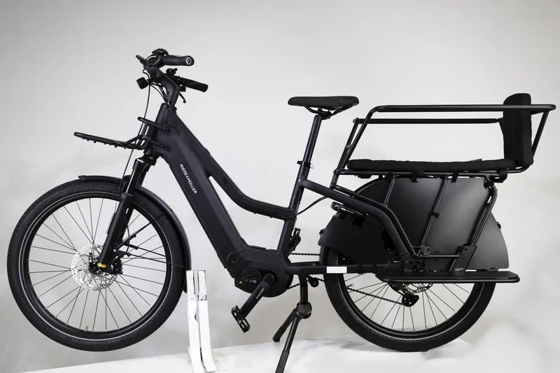 Riese & Müller Multicharger2 Mixte GT Family 2098