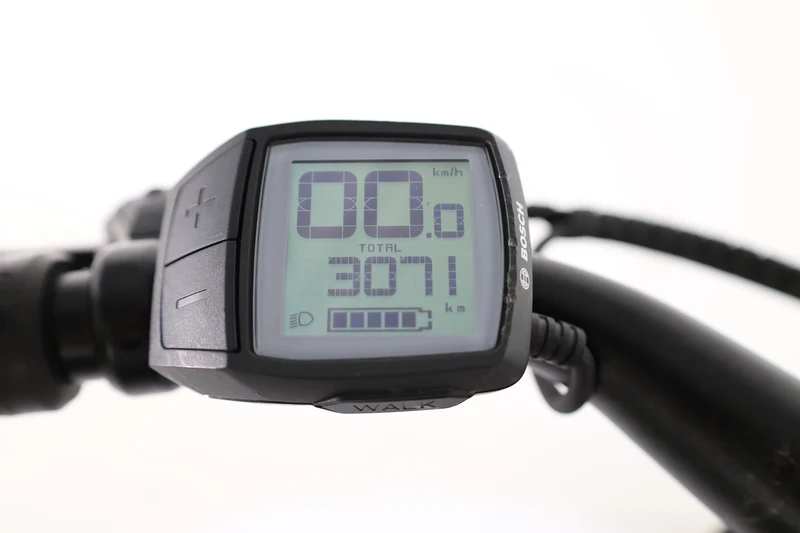 STAIGER CB100 2023 T.S