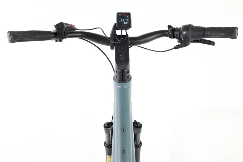 RIESE & MÜLLER Culture Mixte Silent 2024 T.50