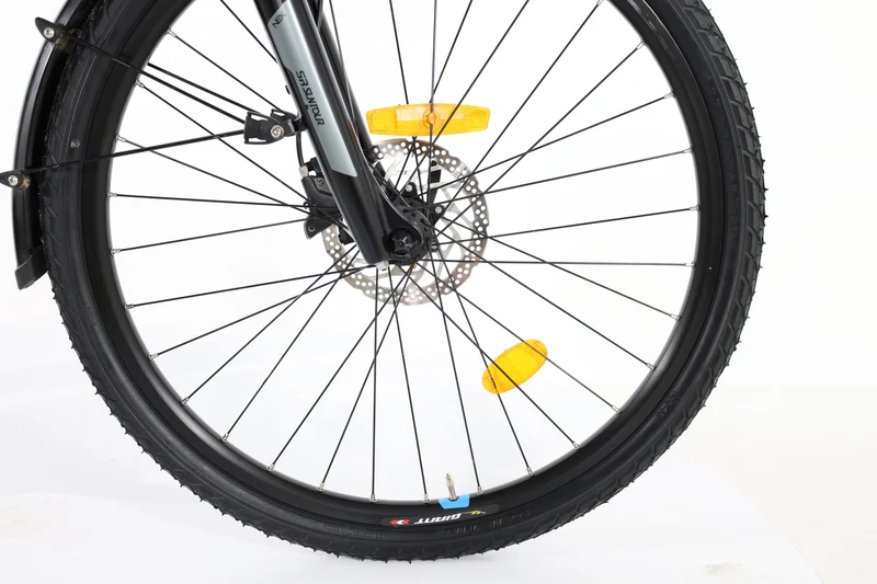 GIANT Entour E+ 1 RT 2020 T.XS
