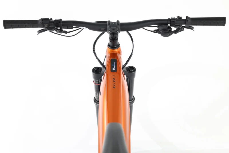 GIANT Reign E+ 3 Pro MX 2022 T.L