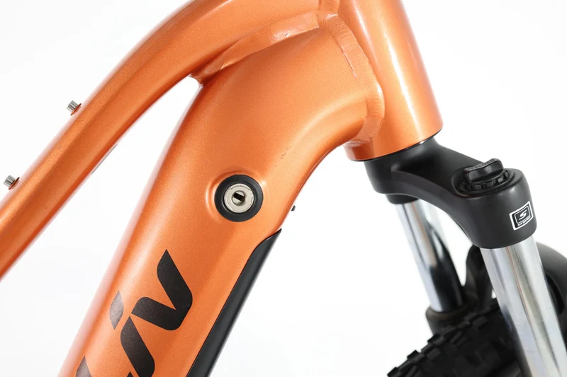 LIV Amiti E+ 2 2023 T.M