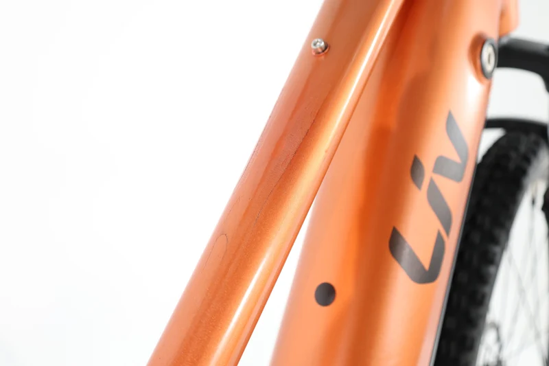 LIV Amiti E+ 2 2023 T.M
