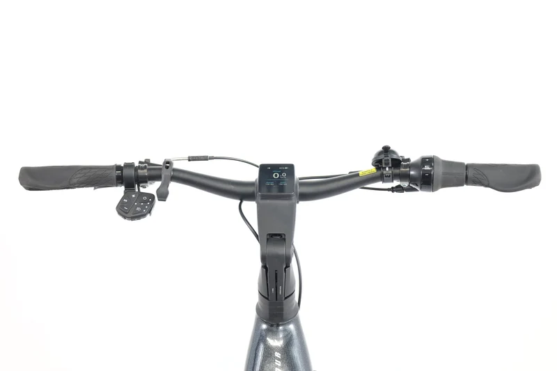 GIANT Anytour X E+ 2 2024 T.XL