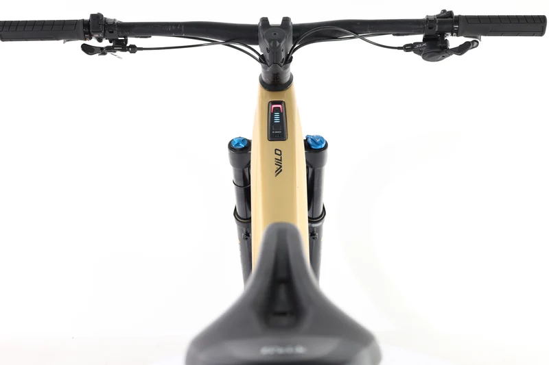 ORBEA Wild M10 Custom 2024 T.L