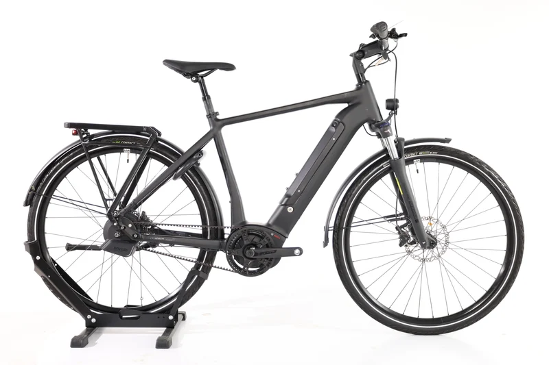 ROSE Xtra Watt Evo Plus 3 2024 T.L