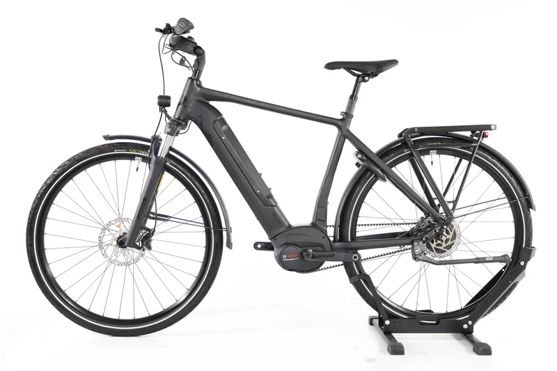 ROSE Xtra Watt Evo Plus 3 2024 T.L