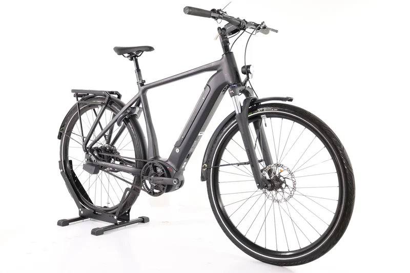ROSE Xtra Watt Evo Plus 3 2024 T.L