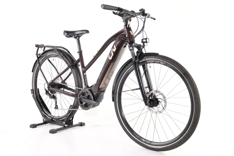 LIV Amiti E+ 2 2022 T.S