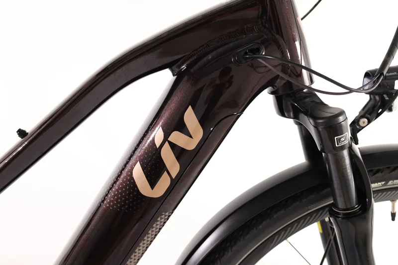 LIV Amiti E+ 2 2022 T.S