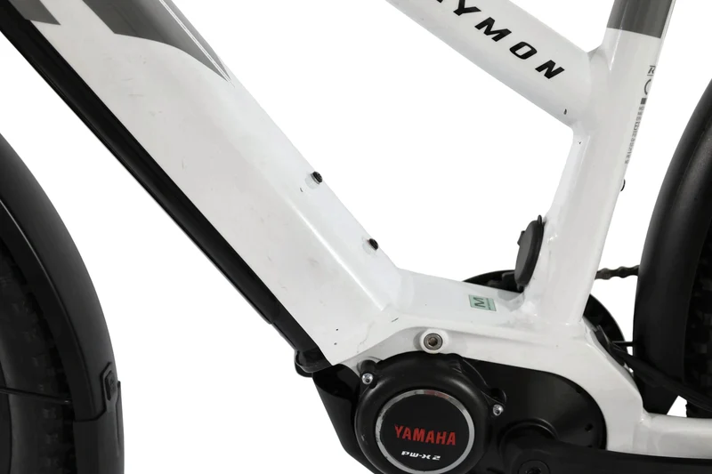 RAYMON Tourray E 7.0 2022 T.52