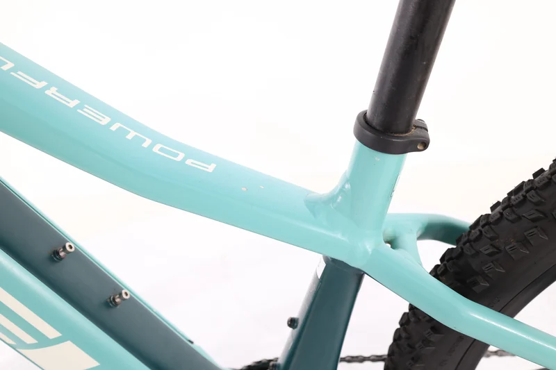 TREK Powerfly 5 2023 T.S