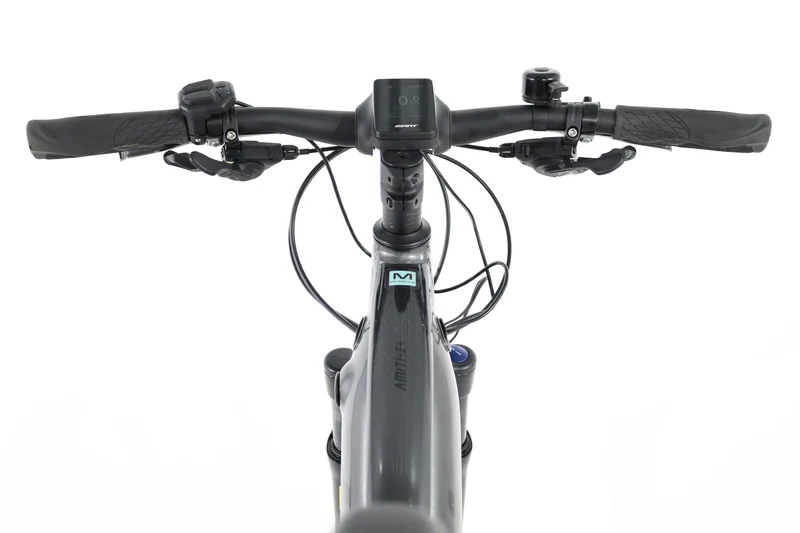 LIV Amiti E+ 1 2021 T.S