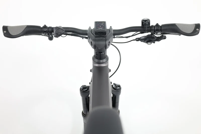 RIESE&MÜLLER Delite GT touring 2022 T.51