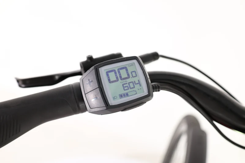 CANNONDALE Mavaro Neo 5+ 2021 T.L