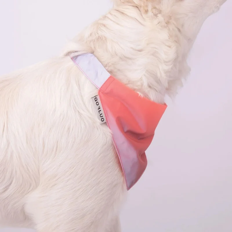 Bandana réfléchissant pour chien GOFLUO
